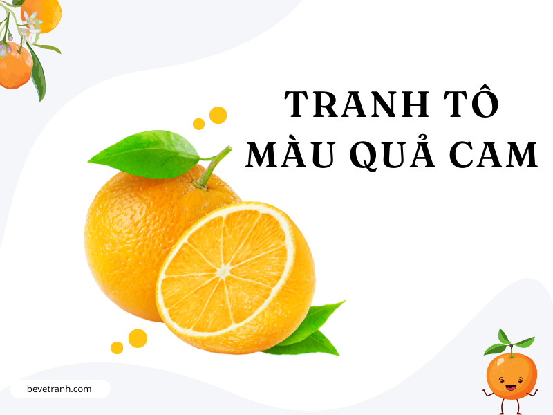 Tranh tô màu quả cam
