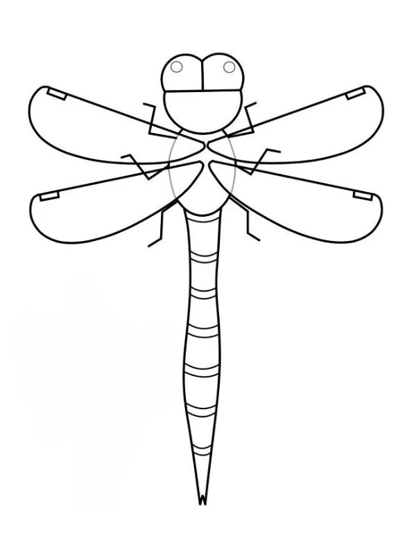 hình ảnh con chuồn chuồn tô màu đơn giản