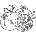 tô màu quả lựu đẹp mắt