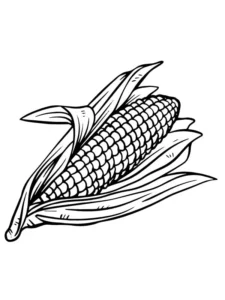 tranh tô màu bắp ngô đơn giản cho bé