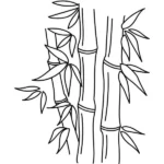 tranh tô màu cây tre