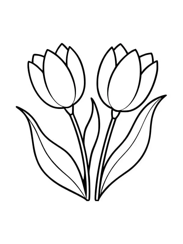 tranh tô màu 2 bông hoa tulip