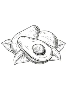 tô màu quả bơ đơn giản