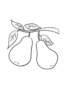 tranh tô màu quả lê kích thích trí tưởng cho bé
