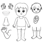 tranh tô màu các bộ phận trên cơ thể