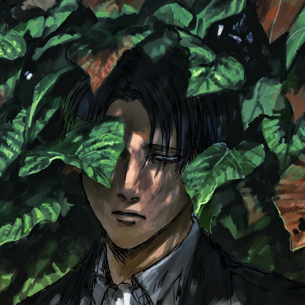 levi ackerman ngầu trong anime attack on titan 