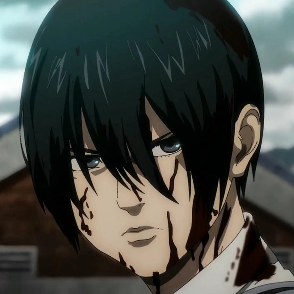 mikasa ackerman anime girl cool 