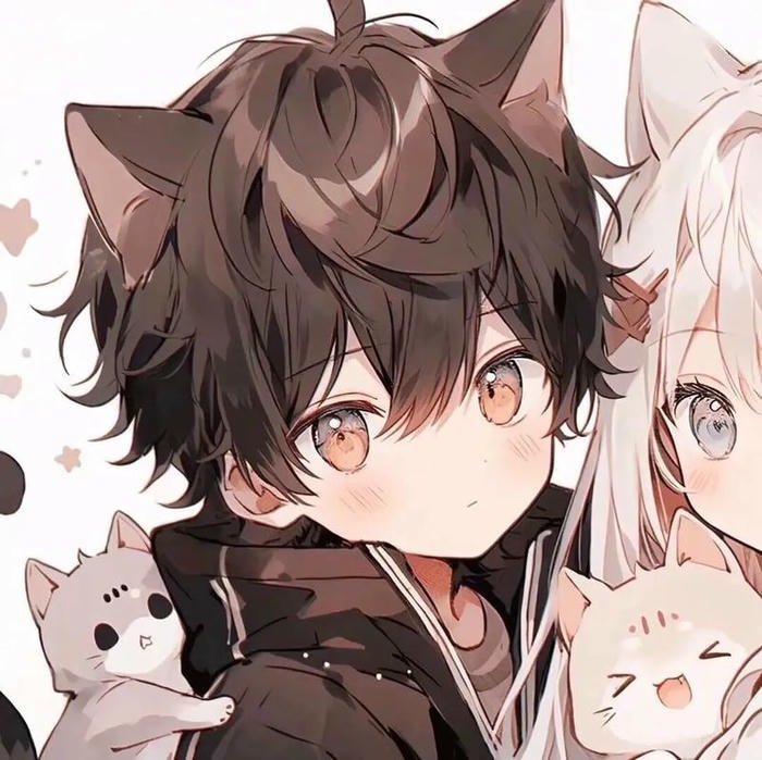 avatar anime đôi tinh tế